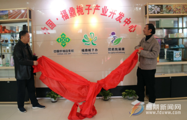 中国·电游平台栀子产业开发中心揭牌